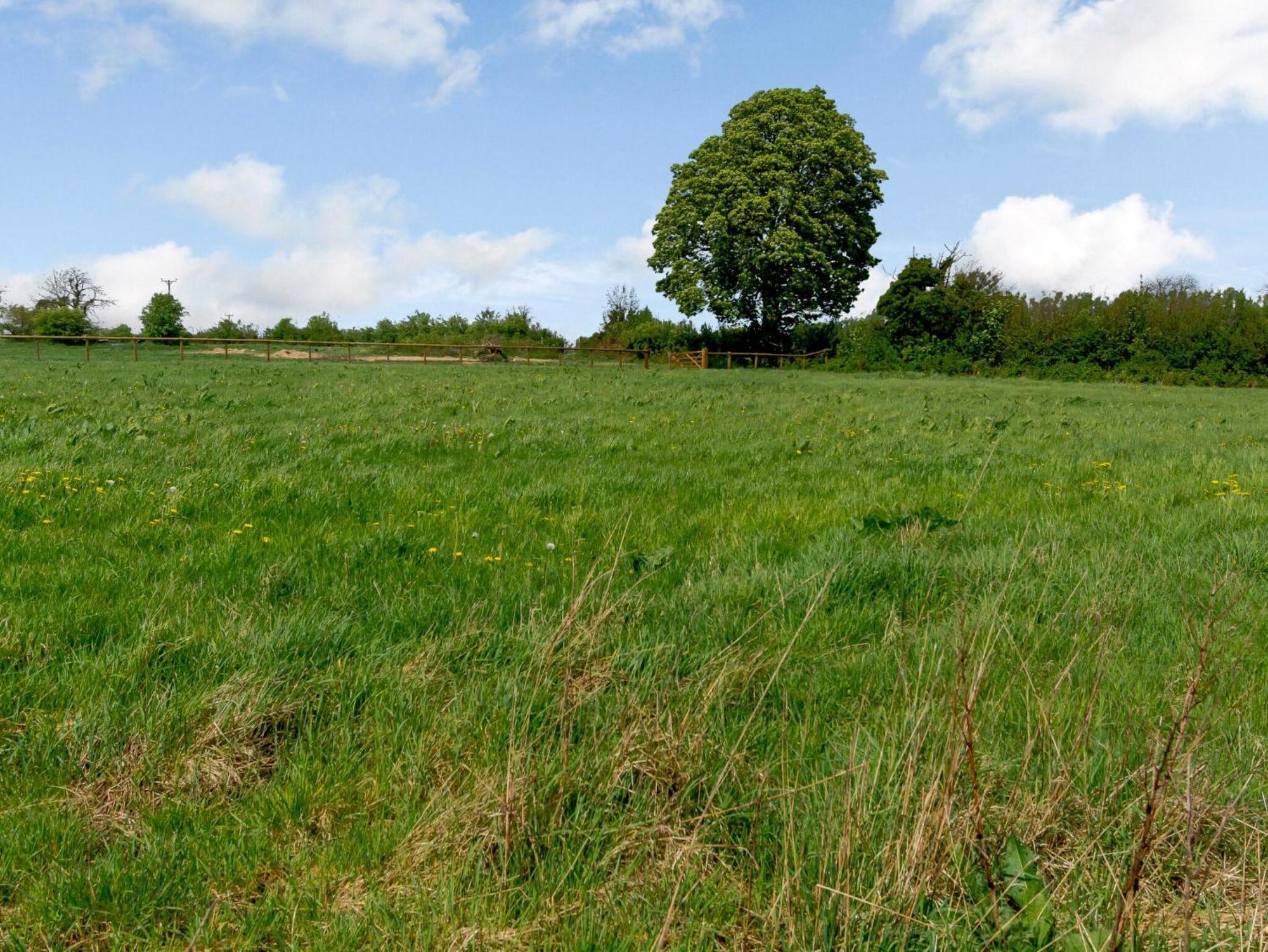 Primrose Villa Shepton Mallet Exteriör bild